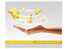 四川鼎楓金服商務信息咨詢 專業服務助力企業發展