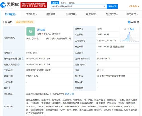 商務信息咨詢 賦能企業決策的智慧引擎