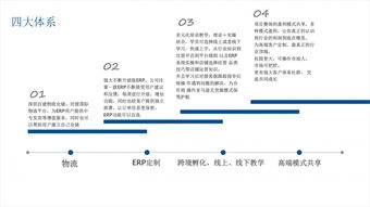 亞馬遜無貨源erp系統(tǒng)優(yōu)勢,真的可以月入幾萬